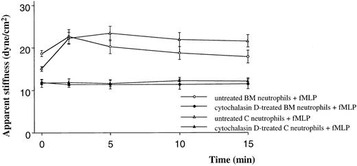 Fig. 3. The effect of cytochalasin D on the apparent stiffness of quiescent neutrophils and neutrophils stimulated with fMLP. / Pretreatment with cytochalasin D (10 μM) decreased the apparent stiffness of quiescent neutrophils (time 0). This decrease was greater for neutrophils isolated from the BM than the circulating blood, and there was no significant difference in the stiffness of neutrophils isolated from the BM or the circulating blood after this pretreatment. In addition, cytochalasin D completely inhibited the increase in stiffness induced by fMLP (P < .05). n = 5 rats in each group. BM indicates bone marrow; C, circulating.