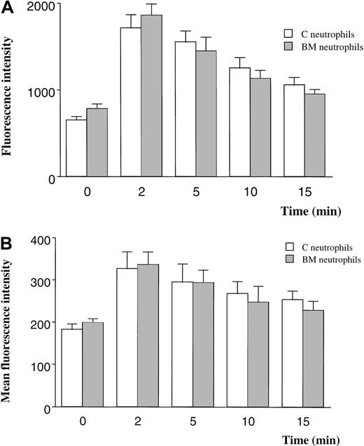Fig. 5. F-actin content in quiescent and fMLP-stimulated neutrophils measured by using FITC-phalloidin and a fluorescent plate reader (A) or flow cytometry (B). / Measurements using a fluorescent plate reader demonstrated 20% more F-actin in BM than in circulating neutrophils (P < .05) and a 180% increase after exposure to fMLP for 2 minutes (A). In contrast, the F-actin content of quiescent neutrophils isolated from the BM was similar to that of neutrophils from the circulating blood when measured by flow cytometry. Stimulation with fMLP induced an increase in F-actin content that was similar in neutrophils isolated from either site. n = 5 rats in each group. C indicates circulating; BM, bone marrow.