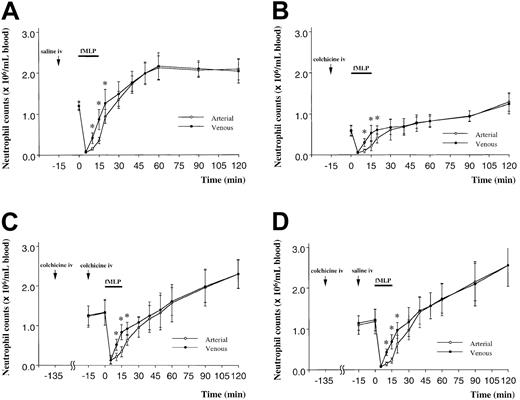 Fig. 6. The effect of pretreating rats with colchicine on BM release induced by infusion of fMLP in rats. / The circulating neutrophil counts in rats pretreated with saline decreased in both arterial and venous samples within 5 minutes of infusion (A). By 10 minutes, there was a significant increase in the number of neutrophils within the venous blood sample. This increase was not observed in the arterial blood sample. This venous-arterial gradient in neutrophil concentration measured BM release.1Pretreatment with colchicine induced a fall in the circulating neutrophil counts to approximately 50% of baseline value (B). However, infusion of fMLP induced a similar fall in the circulating neutrophil counts and a similar venous-arterial gradient (B) as observed in animals that did not receive colchicine. When rats received a second dose of colchicine 2 hours after the first, no fall in circulating neutrophil counts occurred (C). This dosing regimen also did not inhibit the fMLP-induced decrease in circulating neutrophil counts or the venous-arterial gradient compared with animals given saline (D). n = 5 rats in each group; *, significantly greater than values in the arterial blood at this time point, P < .05.