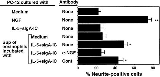 Fig. 5. Effect of eosinophil supernatants to promote neurite elongation is neutralized by anti-NGF antibody. / Eosinophils were suspended in RPMI 1640 medium supplemented with 10% DCS and incubated with medium alone or sIgA (20 μg/mL) + antihuman sIgA monoclonal antibody (1:10 000) + 25 ng/mL IL-5 (IL-5 + sIgA-IC) for 24 hours at 37°C. The replicate culture contained sIgA, antihuman sIgA monoclonal antibody, and IL-5 but no eosinophils. After culture, cell-free supernatants were collected. PC-12 cells were incubated with medium alone, 2 ng/mL NGF, supernatant of sIgA + anti-sIgA + IL-5 without eosinophils, supernatant of eosinophils cultured with medium alone, or supernatant of eosinophils cultured with sIgA + anti-sIgA + IL-5. Replicate eosinophil supernatants were treated with 100 ng/mL anti-NGF antibody or control goat IgG (cont). After 24 hours, the numbers of PC-12 cells with at least 2 neurites approximately 50 μm or longer were counted by using the dark field inverted microscope. Data show mean ± SEM from 5 experiments. * and ** denote significant difference from PC-12 cells incubated with medium alone (P < .05 andP < .01, respectively).