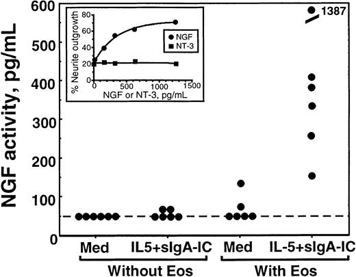 Fig. 6. Quantitation of NGF activity in supernatants from stimulated eosinophils. / Eosinophils were incubated with medium alone (med) or stimulated with sIgA + antihuman sIgA monoclonal antibody + IL-5 (IL-5 + sIgA-IC) for 24 hours as described above; the replicate culture contained sIgA + antihuman sIgA monoclonal antibody + IL-5, but no eosinophils. Supernatants were collected and used for the PC-12 cell biologic assay as described in “Materials and methods.” The NGF activities of the supernatants were semiquantitated by using a standard curve generated by PC-12 cells incubated with serial dilutions of recombinant NGF. Each dot represents different experiments using eosinophils from 6 different donors. Inset graph shows an example of a standard curve. PC-12 cells were incubated with serial dilutions of NGF (closed circle) or NT-3 (closed square) for 24 hours, and the numbers of cells with neurite elongation were determined. Note that NT-3 does not promote neurite elongation of PC-12 cells.