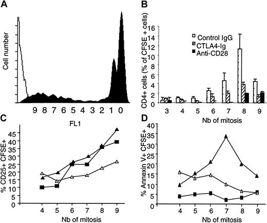Fig. 4. Modulation of CD28 in vivo reduces allogenic T-cell proliferation in GVHD. / Spleen mononuclear cells from LEW.1A rats (3 × 108) were labeled with CFSE and transplanted intravenously into irradiated LEW.1W. Recipients received intraperitoneally 1 mg control IgG or modulating anti–rat CD28 JJ319 or 0.5 mg CTLA4 immunoglobulin at days 0 and 2. At 3 days, spleen lymphocytes were harvested and analyzed by FACS after gating on CD4+ cells. (A) The black histogram indicates the CFSE profile of control-treated recipients gated on CD4+ T cells; and the white histogram, FL1 signal of recipient CD4+ T cells from nontransplanted control. Y axis shows cell number per fluorescence channel. X axis shows halving of fluorescence after each mitosis. (B) The histogram indicates the measurement of alloreactive CD4+ T cells according to their division status. Data are mean ± SD from 3 animals. (C, D) Expression of CD25 and binding of Annexin V on proliferating CFSE+ cells. (▪) Recipients treated with control IgG. (▵) Recipients treated with CTLA4 immunoglobulin. (▴) Recipients treated with anti-CD28. Nb indicates the number of mitosis according to fluorescence intensity halving.
