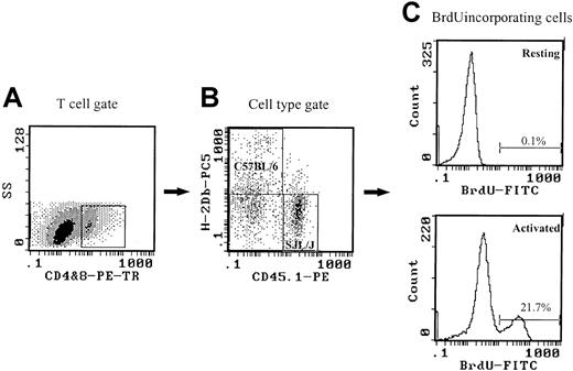 Fig. 3. Flow cytometer–based proliferation assay with BrdU to detect proliferation of cells from different origins simultaneously. / More than 100 days after transplantation, 1.25 × 106spleen cells per well were cultured with immobilized anti-CD3 in a flat-bottom 48-well culture plate at 37°C and 5% CO2 for 48 hours. A final concentration of 30 μM BrdU was added 24 hours before harvest. After culture, the cells were transferred into 6-mL tubes and washed once. The cells were first stained with anti–surface marker antibodies, washed once, and then resuspended in 0.5 mL FACS Permeabilizing Solution for fixation and permeabilization. After 3 hours' incubation at 4°C, cells were washed twice and stained with anti-BrdU antibody (1 μg/mL) in the presence of DNAse I at a final concentration of 4 mg/mL for 30 minutes at room temperature. The stained cells were analyzed by means of a Coulter EPICS XL flow cytometer equipped with System II software.