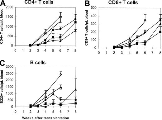 Fig. 1. Phenotypic recovery of peripheral T and B cells. / Lethally irradiated (8.5 Gy) BALB/c mice were transplanted with one unit (2.5 × 106) of T-cell–depleted bone marrow cells from C57BL/6 (closed triangles) or SJL/J (closed squares) mice or the combination of both (closed circles). Peripheral blood was harvested in EDTA microtubes. Then, 50 μL blood was incubated with antibodies at room temperature for 15 minutes. The stained samples were then processed in Multi-Q-Prep to lyse the red cells. The samples were analyzed in a Coulter EPICS-XL flow cytometer equipped with System II software. The absolute counts were determined by using Flow-Count. The controls were mice that received a single-donor graft (open triangles indicate C57BL/6; open squares, SJL/J) at a dose equivalent to that of the combined group (5 × 106). The values represent the mean + SE of 3 to 15 animals per group. Similar experiments have been repeated twice. The pretransplantation levels (per microliter blood) are as follows: CD4+ T cells, 1912 ± 634; CD8+ T cells, 322 ± 246; B220+ cells, 1757 ± 422. P values as compared with the C57BL/6 + SJL/J group are shown in Table 2.
