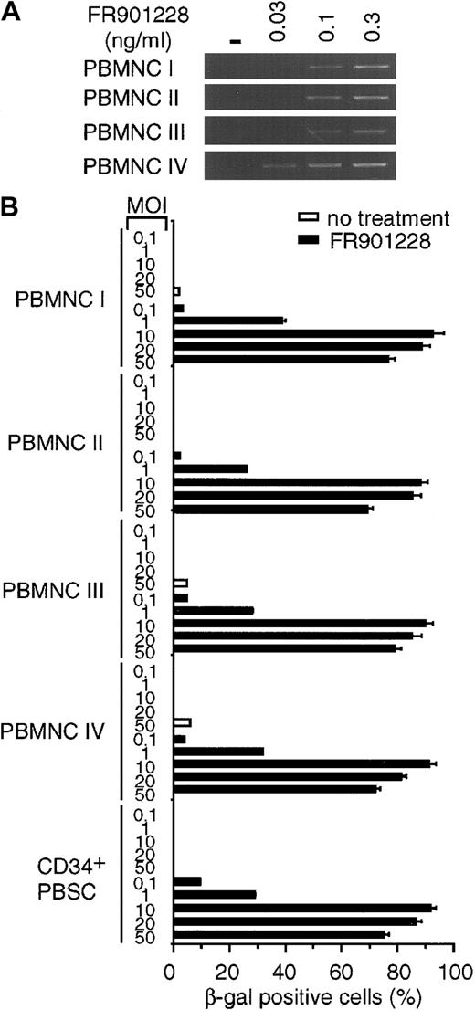 Fig. 3. Rapid induction of β-galactosidase transgene expression after adenovirus infection of FR901228-treated cells. / Frozen PBMCs and CD34+ PBSCs from different donors were thawed and incubated in medium overnight. FR901228 was added to the treated cells, and all cells were incubated for 24 hours. (A) RT-PCR analysis of CAR RNA in FR901228-treated PBMCs. PBMCs were treated without (−) or with the indicated concentration of FR901228. Samples were prepared as described in the legend to Figure 1. (B) Quantitation of β-galactosidase– positive cells after adenovirus infection. Untreated cells or cells treated with 0.1 ng/mL FR901228 were infected with the indicated MOI of ADCMVβgal for 1 hour in the absence of serum. Serum was added to the medium. Cells were incubated for 24 hours and were analyzed for β-galactosidase activity as described in the legend to Figure 2. The viability of the PBMCs, as determined by trypan blue exclusion, was at least 94%. The viability of CD34+PBSCs, as determined by propidium iodide exclusion, was 95%. In addition, 92% of these cells showed expression of the CD34 epitope at the conclusion of the experiment.