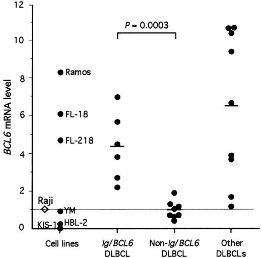 Fig. 1. BCL6 mRNA expression levels in lymphoma cells determined by real-time PCR. / The BCL6/GAPDH ratio of each test material was normalized by that of Raji ( = 1). Cell lines: Ramos, a Burkitt lymphoma cell line with t(8;14)(q24;q32); FL-18 and FL-218, follicular lymphoma cell lines with t(14;18)(q32;q21); YM, a DLBCL cell line with t(3;16)(q27;p11)6; HBL-2 and KIS-1, DLBCL cell lines with t(11;14)(q13;q32) and t(9;14)(p13;q32), respectively. Clinical materials of DLBCL: DLBCL with Ig/BCL6translocation, n = 6; DLBCL with non-Ig/BCL6translocation, n = 8; other DLBCLs lacking BCL6translocation, n = 9. Horizontal bars indicate the mean values of each group.