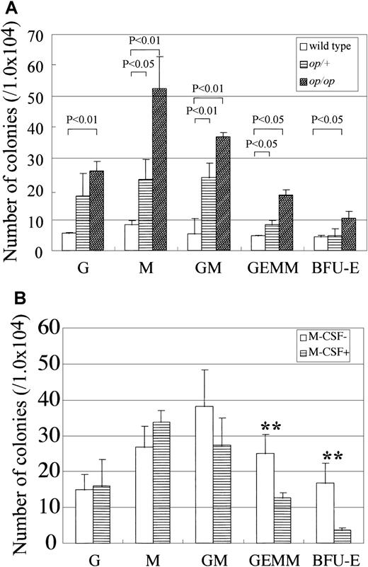 Fig. 1. Colony-forming activity of nonadherent cells inop/op AGM culture and the effect of exogenous M-CSF on the colony-forming activity in op/op AGM culture. / (A) The AGM region was removed from E11.5 embryos, and the cells were dissociated into a single-cell suspension by trypsin and incubated at 37°C for 10 days. Nonadherent cells in culture were harvested and plated in methylcellulose culture in the presence of IL-3, IL-6, and EPO. Colonies were counted on the seventh day of culture. Numbers in the figure indicate P values (by Student t test). (B) AGM cultures were prepared as above. Cells of op/op AGM culture were incubated in the presence of exogenous M-CSF on the first day of culture. Double asterisks indicate P < .05 (by Student t test). Each experiment was repeated 3 times, and typical results are presented in figures.