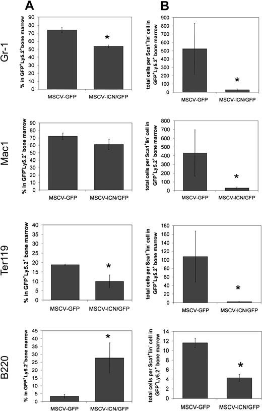 Fig. 3. Altered bone marrow reconstitution by RAG-1−/−Sca1+lin− cells expressing activated Notch1. / Competitive repopulation of lethally irradiated C57BL/6 Ly5.1 mice (n = 5 for each group) transplanted with 2000 RAG-1−/−Sca1+lin−Ly5.2+ bone marrow cells expressing control vector (MSCV-GFP) or activated Notch1 (MSCV-ICN/GFP) along with 1.5 × 105 Ly5.1+ competing bone marrow cells. Bone marrow cells from the animals receiving transplants were harvested 5 months after transplantation and assessed by flow cytometry using antibodies against the indicated antigens. (A) Charts show average ± SEM of the percentage of cells in the GFP+Ly5.2+ subpopulation staining with the indicated antibodies. Data were analyzed using Student ttest (Gr-1, P = .04; Mac1, P = .13; Ter119,P = .03; B220, P = .01). (B) Charts show absolute numbers ± SEM of cells staining with antibodies to the indicated antigens and normalized to the absolute number of GFP+Ly5.2+Sca1+lin−cells. Data are from the same animals shown in panel A. Data were analyzed using the Student t test (Gr-1,P = .02; Mac1, P = .01; Ter119,P = .01; B220, P = .001).