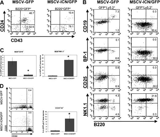 Fig. 5. Activated Notch1 promotes differentiation of early lymphoid precursor cells and blocks B-cell differentiation. / Flow cytometric analysis of the bone marrow of competitive repopulated mice 2 months after transplantation of Sca1+lin− RAG-1−/− cells expressing activated Notch1 (MSCV-ICN/GFP) or control vector (MSCV-GFP). (A) Plots represent fluorescence intensity for CD43 on the x-axis and CD24 on the y-axis in the B220+GFP+cell population of the bone marrow of 2 representative animals. Numbers in corners represent percent of events within that quadrant, gated on GFP+B220+ lymphoid cells. (B) Plots represent fluorescence intensity for B220 on the x-axis and CD19, BP-1, CD25, or NK1.1 on the y-axis in GFP+Ly5.2+ bone marrow cells. Numbers in corners represent percent of events within that quadrant, gated on GFP+Ly5.2+ lymphoid cells. (C) Flow cytometric analysis of the bone marrow of competitive transplanted animals 2 months after transplantation of Sca1+lin− RAG-1−/− cells expressing activated Notch1 or control vector. Chart represents the average percentage ± SEM of B220+CD19+and B220+NK1.1+ bone marrow cells in the GFP+Ly5.2+ population. The Student ttest was used to analyze the data. (B220+CD19+,P = .01; B220+NK1.1+,P = .002). (D) Plots represent fluorescence intensity for CD44 on the x-axis and CD25 on the y-axis in the GFP+Ly5.2+ cell population of the bone marrow of 2 representative competitive repopulated animals 5 months after transplantation. Numbers in corners represent percent of events within that quadrant. Chart shows the average percentage ± SEM of CD25+CD44+ cells in the GFP+Ly5.2+ bone marrow population in primary recipients. The Student t test was used to analyze the data (P = .01).