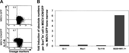 Fig. 6. Activated Notch1 promotes differentiation of the common lymphoid progenitor and favors lymphoid over myeloid lineage in vivo. / (A) Bone marrows of competitively repopulated animals were stained for IL-7R, lineage markers, c-kit, and Sca1, 8 months after transplantation. Plots represent fluorescence intensity for lineage markers on the x-axis and IL-7−R on the y-axis in the GFP+ cell population of the bone marrow of 2 representative animals transplanted with control vector-transduced cells (MSCV-GFP) or cells expressing activated Notch1 (MSCV-ICN/GFP). Numbers in corners represent percent of events within that quadrant. (B) Bone marrow of competitive repopulated animals were stained for differentiation markers (Gr-1, Mac-1, Ter119, and B220) and separately for Sca1 and lineage markers and analyzed by flow cytometry 5 months after transplantation. The absolute number of differentiated cells was then equalized to the absolute number of Sca1+lin− cell in the same animal. Chart shows the fold increase of absolute number of differentiated cells per Sca1+lin− stem cell in the bone marrow of animals transplanted with Notch1 overexpressing cells (MSCV-ICN/GFP) in comparison to controls (MSCV-GFP).
