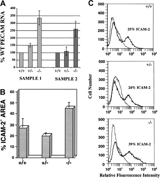 Fig. 2. Flt-1−/− ES cell cultures have increased numbers of endothelial cells. / (A) RNase protection assay using an antisense PECAM RNA probe on day 8 WT, flt-1+/−, andflt-1−/− attached cultures. Protected fragments were separated on a polyacrylamide-urea gel and quantified by using a PhosphorImager. Protected PECAM signal was normalized to a β-actin signal, and the normalized PECAM band densities forflt-1+/− and flt-1−/−samples were compared with WT (+/+) samples. Sample 1 and sample 2 are RNAs from separate differentiations. Each bar is the average of 3 experiments performed on a particular sample. (B) Quantitative image analysis of the ICAM-2+ area on day 8 WT (+/+), flt-1+/−, andflt-1−/− attached cultures. Each bar represents the average area stained with ICAM-2 antibody from 3 wells. This experiment was repeated (data not shown), and similar quantitative trends were obtained. (C) Fluorescent cell sorting of ICAM-2–labeled day 8 WT (+/+), flt-1+/−, andflt-1−/− ES cell cultures. The plots in dotted lines are controls without primary antibody.