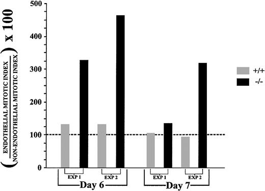 Fig. 4. Flt-1−/− ES cell cultures have an elevated endothelial cell mitotic index. / Days 6 and 7 WT (+/+) and flt-1−/−triple-labeled images were used to calculate nonendothelial cell and endothelial cell mitotic indices for 2 separate differentiation experiments (Table 1). Endothelial cell mitotic indices were expressed as a percentage of the nonendothelial cell mitotic index calculated for each experimental condition. The dotted black line represents the nonendothelial mitotic index for each experiment converted to 100%, and it was used as a baseline for comparison of endothelial mitotic indices.