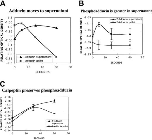 Fig. 8. Movement of PKC-phosphorylated adducin to cytosol with thrombin activation. / Column-purified platelets were activated with dilute thrombin (0.1 U/mL) for increasing times and fractionated by high-speed centrifugation (126 000g for 3 hours) into supernatant and pellet fractions. Samples were run on SDS-polyacrylamide gel electrophoresis and Western blotted; relative optical density of bands was quantitated by using NIH Image software. (A) Typical experiment showing increasing adducin in supernatant versus decreasing adducin in pellet. (B) Distribution of PKC-phosphorylated adducin between supernatant and pellet fractions over time (n = 2). (C) Platelets were preincubated with calpeptin (200 μg/mL for 30 minutes), stimulated with thrombin (1 U/mL), then fractionated as above. PKC-phosphorylated adducin continued to increase in the supernatant while decreasing in the pellet fraction.