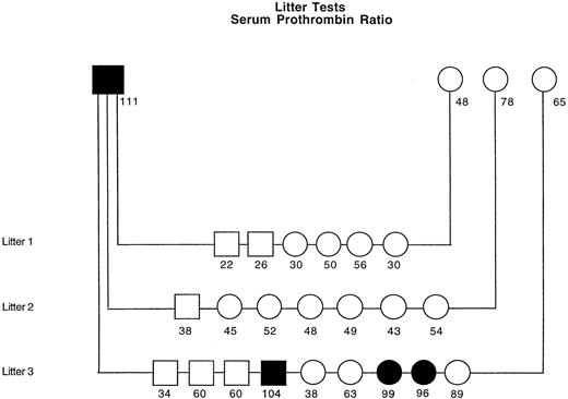 Fig. 7. Pedigree studies of residual serum prothrombin in 3 litters sired by a single affected male GSD. / Solid symbols represent dogs with clinical signs of abnormal bleeding. The 2-hour serum prothrombin ratio (%), performed as described in “Materials and methods,” is listed below each symbol. Reference range for healthy control dogs (n = 25) is 21% to 62%.