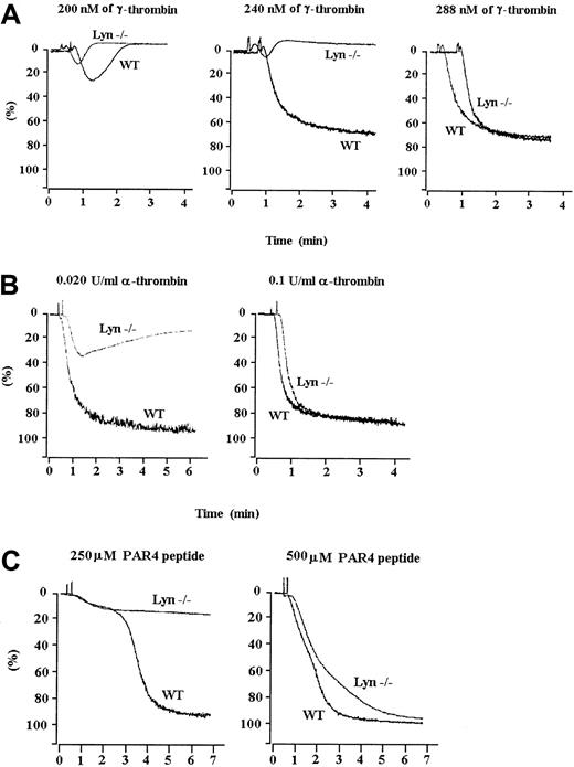 Fig. 1. Lyn-deficient platelets aggregate abnormally in response to thrombin receptor-activating agonists. / Lyn-deficient and wild-type murine platelets were treated with increasing concentrations of γ-thrombin (A), α-thrombin (B), or PAR4 peptide (C). Lyn-deficient platelets aggregated irreversibly only when a high concentration of agonist was used. Results are representative of 5 separate experiments.