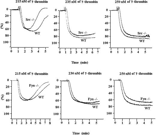 Fig. 2. Platelets from Src- and Fyn-deficient mice aggregate normally in response to γ-thrombin. / Src-deficient or Fyn-deficient platelets were exposed to increasing concentrations of γ-thrombin. Both types of platelets aggregated normally in response to low, medium, or high concentrations of γ-thrombin. Results are representative of 3 separate experiments.