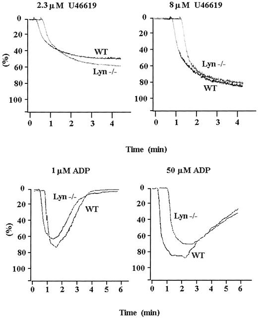Fig. 3. Responses of Lyn-deficient and wild-type platelets to agonists of other G-protein–coupled receptors. / Lyn-deficient and wild-type murine platelets were activated with U46619or ADP at low and high concentrations. Lyn-deficient platelets aggregated normally in response to low and high concentrations ofU46619 and ADP; therefore, Lyn kinase function is not required for all GPCR signaling. Results are representative of 5 separate experiments.