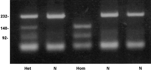 Fig. 4. Detection of factor XI Cys38Arg mutation by allele-specific restriction analysis. / Depicted are a normal genotype (N), a homozygote for Cys38Arg (Hom), and a heterozygote (Het). Numbers on the left of the gel indicate the size in base pairs of the bands.