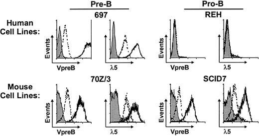 Fig. 1. Analysis of SLC expression on human and mouse cell lines. / Pro-B and pre-B cell lines were analyzed for cell surface binding of anti-VpreB and anti-λ5 antibodies by conventional indirect immunofluorescence (dashed line) or by an enhanced immunofluorescence method using fluorochrome-loaded liposomes as a second-step reagent (solid line). Test cells incubated with an excess of unlabeled primary antibodies served as staining controls (shaded histograms). Results illustrated in this and subsequent figures used the VpreB8 anti-human VpreB, R3 anti-mouse Vpre-B, HSL11 anti-human λ5, and LM34 anti-mouse λ5 monoclonal antibodies. Comparable results were obtained with the other anti-VpreB, anti-λ5, and anti-preBCR antibodies used in these studies (see “Materials and methods”).