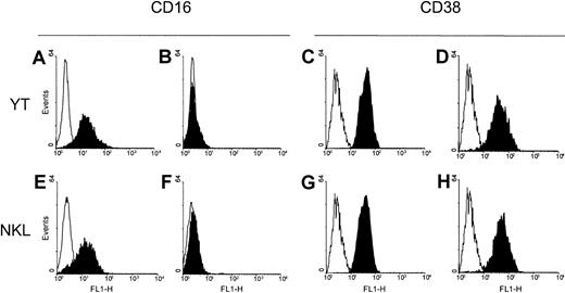 Fig. 1. Construction of CD16+ clones of the YT line by transfection and selection of CD16+ and CD16− variants of the NKL line. / (A) Stable transfection by electroporation of a plasmid containing the full-length human CD16 gene resulted in production of YT clones homogeneously expressing CD16. (B) Control YT cells transfected with the empty plasmid (YT mock cells) did not have detectable membrane CD16. YT CD16+ cells (C) and YT mock cells (D) expressed comparable levels of CD38. NKL cells were cloned by limiting dilution and selected as CD16+ (E) and CD16− (F) sublines. Both sublines were stable over time, and they expressed comparable molecular densities of CD38 (G,H). Empty histograms show the staining obtained with an irrelevant isotype-matched control.
