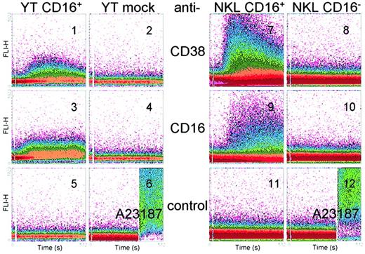 Fig. 2. The mAb ligation of CD38 and CD16 induces Ca++ currents in CD16+ YT and NKL cells. / YT and NKL cells were loaded with the fluorescent indicator Fluo 3-AM and preincubated for 10 minutes at room temperature with agonistic anti-CD38 (panels 1, 2, 7, and 8), anti-CD16 (panels 3, 4, 9, and 10), and anti-gp120 (panels 5 and 11). The cells were then washed and analyzed continuously at 37°C by using a FACSort instrument. RaMIg was added 10 seconds after the analysis began and was by itself unable to mobilize Ca++ (panels 6 and 12, left). Appropriate dye loading by the cells was verified by adding the ionophore A23187 (panels 6 and 12, right). Data are presented as a density plot of the shift in the Fluo 3-AM fluorescence (y-axis) during 512 seconds (x-axis) and are from 6 experiments.
