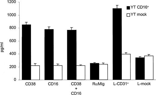 Fig. 5. YT CD16+ cells secrete IFN-γ in response to CD38 signaling. / YT CD16+ cells were incubated with anti-CD38, anti-CD16, or both; washed; and cultured for 20 hours in 24-well plates coated with RaMIg. YT mock cells did not secrete IFN-γ under the experimental conditions used. The same activatory signals were recorded with cocultivation of YT CD16+ cells and CD31+transfectants. Data are mean ± SD (vertical bars) results from 4 independent experiments