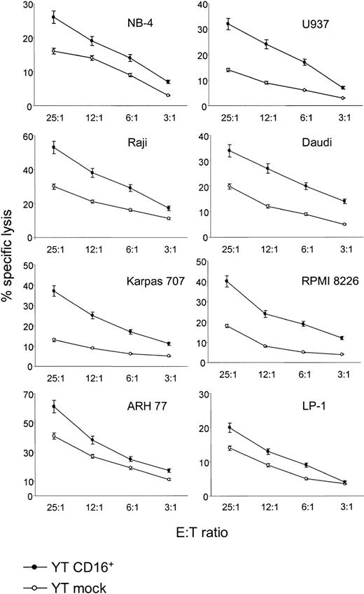 Fig. 6. CD16 transfection into YT cells confers an increase in lytic power against selected tumor targets. / YT/CD16+ cells showed increased cytotoxicity toward B-cell lines (Raji, Daudi, RPMI 8226, Karpas 707, ARH 77, and LP-1) and myeloid cell lines (NB-4 and U937). Data are mean ± SD (vertical bars) results from at least 3 independent experiments.