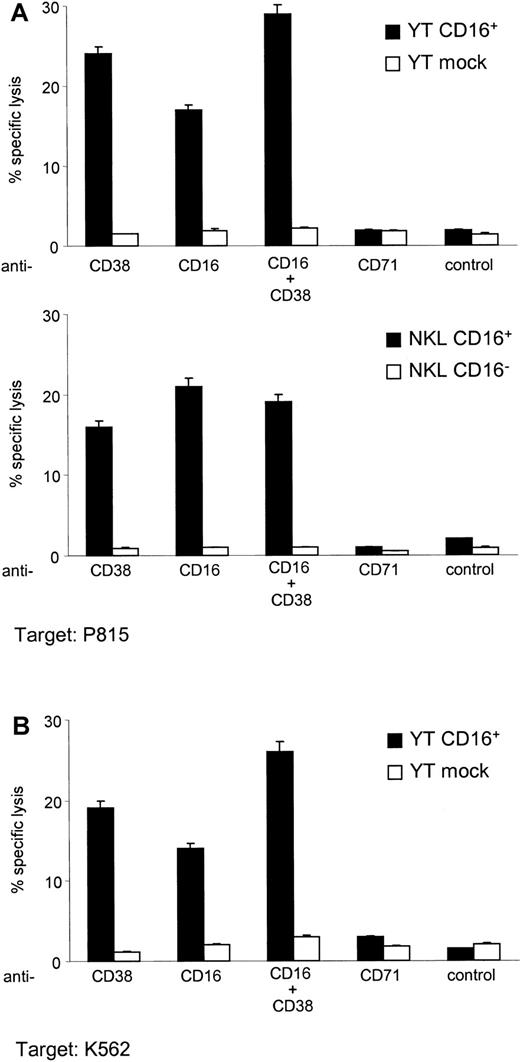 Fig. 7. CD38 is a cytotoxic trigger in YT CD16+ and NKL CD16+ cells. / Target cells used in the redirected cytotoxicity experiments were the murine mastocytoma P815 (A) and the human erythroleukemia K562 (B) lines, selected because both express FcRγ. The cells were labeled with 51Cr, washed, and incubated with RaMIg (5 μg/mL) for 30 minutes at 4°C. Anti-CD16 and anti-CD71 mAbs and the medium alone were used as relevant and irrelevant controls, respectively. Solid bars show the percentage of cytotoxicity on triggering of CD16+YT cells and the CD16+ variant of the NKL cells. YT mock cells and the NKL CD16− variants (open bars) were also included. The untransfected wild-type YT cell line showed the same behavior as the YT mock cells. Vertical bars represent the mean ± SD results from 6 independent experiments.