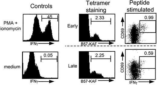 Fig. 4. FACS analysis of HIV-specific tetramer+ and IFN-γ+ T cells. / FACS data from individual 433. Similar tetramer staining and differential IFN-γ production after stimulation with 1 μg peptide/mL for samples drawn early and late in HIV infection. Positive (PMA/ionomycin-stimulated T cells) and negative (no stimulus) controls for IFN-γ production are shown for one time point.
