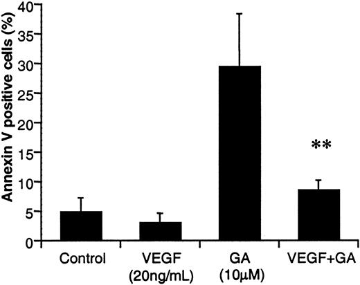 Fig. 7. VEGF protects HL-60 cells from GA-induced apoptosis. / HL-60 cells were cultured in serum-free RPMI, left untreated or treated with VEGF (20 ng/mL), GA (10 μM), or VEGF plus GA every 24 hours, for 72 hours. Apoptotic cells were determined by annexin V staining, as described in “Materials and methods.” Results are shown as a percentage of apoptotic (annexin V+) cells. Each determination was done in triplicate. Double asterisks indicate VEGF significantly protects HL-60 cells from GA-induced apoptosis.