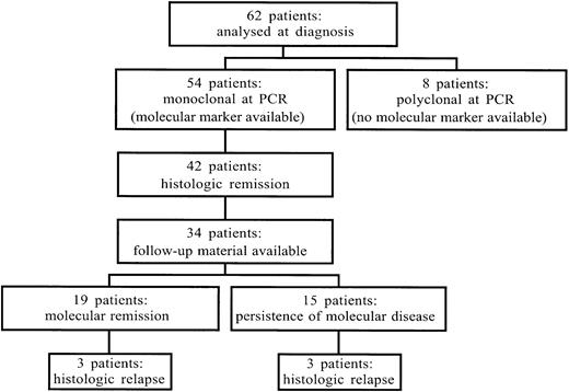 Fig. 1. Flowchart showing the number of patients analyzed by PCR assay for the rearrangement of the IgH genes as molecular marker. / The 62 patients represent the group of cases among the patients enrolled in the study, whose diagnostic material had been sent for molecular assays. See text for further details.