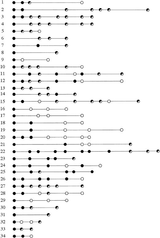Fig. 2. Molecular follow-up in 34 patients with MALT lymphoma. / Black circles represent histologic disease; white, mCR; black and white, persistent molecular disease in hCR. The follow-up is expressed in months; the first time point is at the diagnosis.