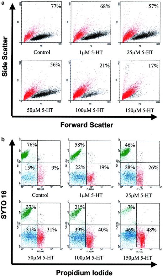 Fig. 2. 5-HT induces cell death in group 1 BL cells. / L3055 cells cultured at an initial density of 105/mL were treated with 1 to 150 μM of 5-HT for 24 hours, as indicated. At the end of the incubation, cells were analyzed as follows. (A) By forward (FS) versus side scatter (SS) analysis and gated into 2 different populations: viable (relatively high FS and low SS) cells (black dots) and dead (relatively low FS and high SS) cells (red dots). Percentage viable cells are indicated for each treatment. (B) By FACS analysis of styo 16–PI double-stained cells: syto 16+ve/PI−ve (viable) cells shown in upper left quadrant in green, syto 16−ve/PI−ve shown in lower left quadrant in blue, syto 16−ve/PI+veshown in lower right quadrant in red. Cells used in panel A were approximately at passage 40, whereas those for panel B were approximately at passage 35. All results shown are representative of 3 similar experiments.