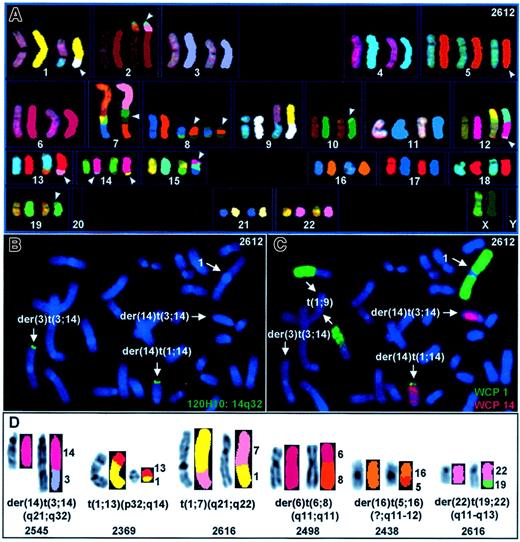 Fig. 3. Representative karyotypes illustrating the various chromosomal rearrangements identified in SKY analysis. / (A) SKY karyotype of case 2612 with primary effusion lymphoma showing several multiple complex and cryptic translocations, notably, t(3;14)(q27;q32) and der(14)t(1;14)(?;q32). The display colors are shown on the left and the classification colors on the right. (B) Confirmation of t(3;14)(q27;q32) by FISH using PAC probe 120H10 (14q32). The lack of green signal on chromosome 1 confirms the nonreciprocal nature of der(14)t(1;14). (C) The same metaphase was washed and rehybridized with whole chromosome painting probe for chromosomes 1 (green) and 14 (red). Presence of green signal on chromosome 14 confirms der(14)t(1;14)(?;q32). (D) Partial karyotypes (from left to right) showing the 3 new and 2 potentially new recurring translocations. Inverted DAPI band image of the involved chromosome is shown on the left and the classification color on the right.