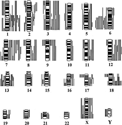 Fig. 4. Idiogram showing distribution of gain and loss of genetic material. / The bars on the right indicate gains, and the bars on the left indicate loss.