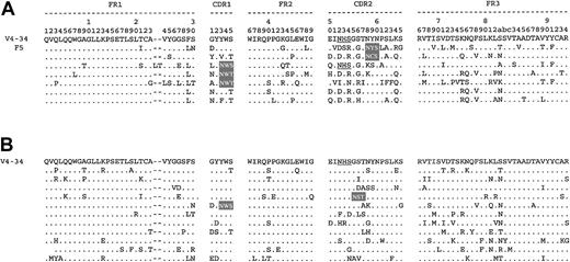Fig. 4. Amino acid sequences of VH of FL and CLL derived from V4-34. / VH sequences of FL and CLL are aligned to the V4-34 GL sequence, with amino acid numbering according to Kabat et al.16 Dots represent identity with the representative GL sequences. The natural glycosylation site in the GL sequence is underlined, and novel glycosylation sites are highlighted. Sequences of FL determined from this study are indicated by patient number.