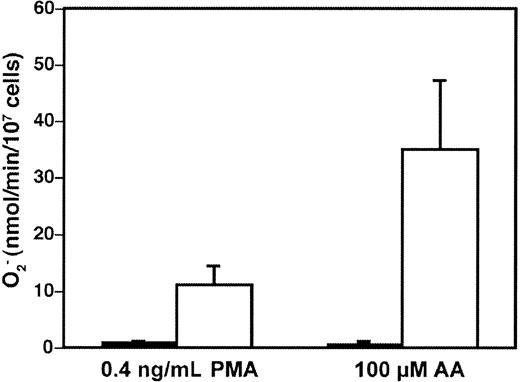 Fig. 1. High-level superoxide production in transgenic COS-phox cells. / Superoxide production by either wild-type COS-7 cells (▪) or transgenic COS-phox cells (■), following detachment from tissue-culture dishes and stimulation with either 0.4 μg/mL PMA or 100 μM AA, was determined by reduction of ferricytochromec. Data are expressed as mean ± SD; n ≥ 3.