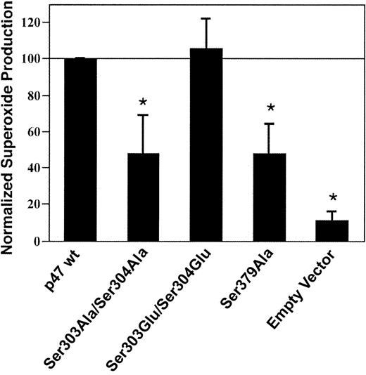 Fig. 2. Effect of p47phox on serine residues 303, 304, and 379 NADPH oxidase activation in COS-phox cells. / COS cells stably expressing gp91phox and p22phox were transiently transfected with wild-type p67phox plus either wild-type p47phox (p47 wt) or p47phoxmutants Ser303Ala/Ser304Ala, Ser303Glu/Ser304Glu, or Ser379Ala, or empty pRK5 vector. Cells were analyzed 24 hours after transfection. Following stimulation with 0.4 μg/mL PMA, superoxide production was determined by reduction of ferricytochrome c. Measured rates of superoxide production were normalized to that of cells expressing wild-type p47phox, and data were also normalized on the basis of the level of expression of the mutants compared with wild-type p47phox expression. Relative protein expression levels compared with wild-type p47phox were 76 ± 22% for p47phox Ser303Ala/Ser304Ala, 82 ± 27% for p47phox Ser303Glu/Ser304Glu, and 90 ± 29% for p47phox Ser379Ala, as determined by densitometry performed on blots of whole-cell lysates following SDS–PAGE (not shown). Data represent mean ± SD; n = 3. *Superoxide production is significantly lower for cells transfected with p47phox Ser303Ala/Ser304Ala, p47phox Ser379Ala, or empty vector, compared with cells expressing wild-type p47phox or p47phox Ser303Glu/Ser304Glu (P < .01, Student-Newman-Keuls multiple-comparisons test). Superoxide production by the cells transfected with wild-type p47phox was 1.8 ± 0.3 nmol/107cells per minute.