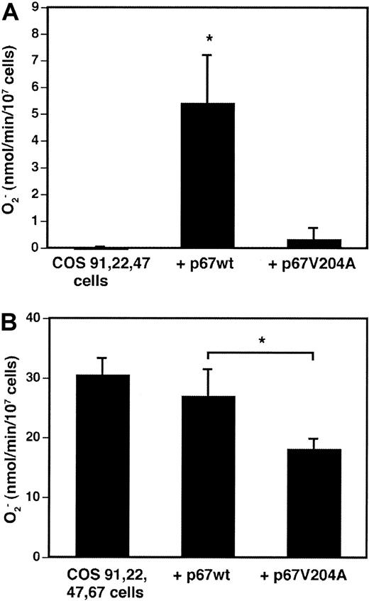 Fig. 6. Effect of Val204Ala p67phox mutation on NADPH oxidase activation in whole cells. / (A) COS-7 cells stably expressing gp91phox, p22phox, and p47phox, but not p67phox, were transiently transfected with expression vectors encoding either wild-type p67phox or p67phox containing a Val204Ala point mutation. Control cells were mock transfected. At 21 hours after transfection, cells were harvested and stimulated with 0.4 μg/mL PMA plus 60 μM AA, and superoxide production was measured by the ferricytochrome creduction assay. Data are expressed as mean ± SD; n = 3. *P = .01, Student t test. (B) COS-phox cells stably expressing gp91phox, p22phox, p47phox, and p67phox were transiently transfected and tested as described above. Data are expressed as mean ± SD; n = 5. *P < .01, Student t test.