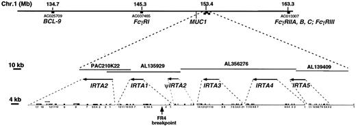 Fig. 4. The IRTA locus spans 300 kb in a chromosome segment containing Fc receptors and genes identified through analysis of chromosomal translocations in B-cell malignancy. / The top line shows a portion of chromosome 1q21, indicating the positions of selected genes and their respective genomic sequence accession numbers, according to the working draft sequence of the Human Genome Sequencing Project, as of January 21, 2001. The centromere is to the left. The position of MUC-1 (EMA) is based upon the Celera human genome sequence.48 The second line shows a magnification of the indicated region of line 1, with the IRTA genes depicted as arrows in the direction of transcription under their respective sequence contigs. The third line shows the intron/exon structure of each IRTA gene, with filled boxes indicating coding exons and open boxes indicating noncoding regions of mRNA. The position of the chromosomal breakpoint in the initial cell line analyzed is indicated by an arrow. Scale bars are shown on the left for the lower 2 lines.