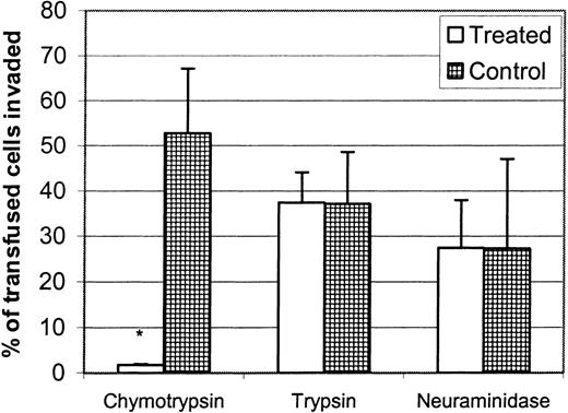 Fig. 7. Chymotrypsin eliminates the invasion of P yoelii into murine normocytes. / RBCs from normal BALB/c mice were treated with chymotrypsin (1 mg/mL), trypsin (1 mg/mL), neuraminidase (50 U/mL), or buffer only, and the invasion rate was measured using in vivo invasion assay. Data are reported as the mean ± SD of thiazole orange–positive transfused cells. Significant difference (P < .05) is represented by an asterisk. Invasion was eliminated in chymotrypsin-treated RBCs.