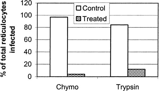 Fig. 8. Reticulocyte invasion is sensitive to chymotrypsin and trypsin treatment. / Reticulocyte-rich blood from normal BALB/c mice was treated with chymotrypsin (1 mg/mL), trypsin (1 mg/mL), or buffer alone, and the invasion rate of P yoelii was measured using the in vivo reticulocyte invasion assay as described in “Materials and methods.” The experiment was performed twice, and the data reported are representative of both experiments. Invasion of reticulocytes was almost eliminated by chymotrypsin and trypsin.