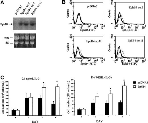 Fig. 1. Proliferative effects of EphB4 on 32 cells. / (A) Expression of EphB4 in 3 sublines of 32D, EphB4 no. 5, EphB4 no. 8, and EphB4 no. 11, confirmed by Northern blot analysis. (B) EphB4 expression was analyzed by FACS using anti-EphB4 FITC-conjugated monoclonal antibody (right, dotted line). (C) Cell proliferation assay. Three 32D EphB4-positive sublines were cultured in the presence of 0.1 ng/mL IL-3 or 1% WEHI CM. Triplicate cultures of each subline were set at each condition at 10 × 104 cells/mL in a 24-well plate. Viable cells were counted and presented as the mean of 3 sublines. Similar results were obtained in 3 experiments. *P < .01.