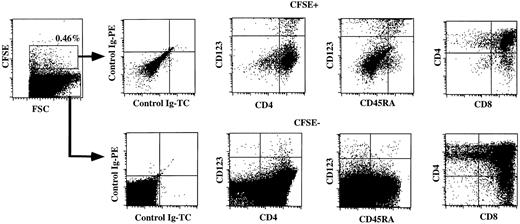 Fig. 2. CD34+CD38− fetal liver cells develop to thymocytes and pDC2 in vivo after intrathymic injection in RAG2−/− γc−/− mice with a human thymus transplant. / Sorted CD34+CD38− fetal liver cells were labeled with CFSE and injected into the thymus graft. Six weeks after injection, the thymus graft was removed and the cells were labeled with PE-labeled CD4 and CD123 antibodies and TC-labeled CD4, CD8, and CD45RA antibodies. Isotype control antibodies were used to set the cursors.