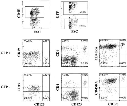 Fig. 6. pDC2 and B cells develop from CD34+ cells transduced with human immunodeficiency virus vector in Rag2−/− γc−/− mice. / Murine liver was examined by flow cytometry for the presence of GFP-transduced cells expressing the indicated antigens 20 weeks after injection of CD34+ fetal liver cells transduced with the GFP-HIV vector. Isotype control antibodies were used to set the cursors.