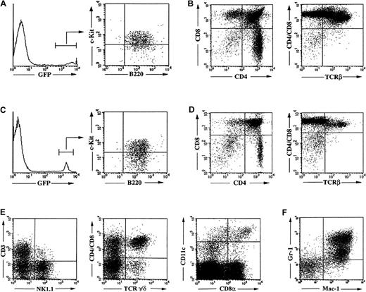 Fig. 6. Reconstitution and hematopoietic differentiation capacity of Pax5−/− pre-B I cells upon serial in vivo transplantation and in vitro expansion. / Flow cytometric analysis of bone marrow (panel A) and thymus (panel B) 3 weeks after reconstitution with a primary GFP+Pax5−/− pre-B I cell clone. Flow cytometric analysis of bone marrow (panel C) and thymus (panel D) 3 weeks after transplantation of a quarternary GFP+Pax5−/− pre-B I cell clone. Flow cytometric analysis of reconstitution of the γδ TCR-expressing thymocyte, the NK T cell, NK cell, and CD8− and CD8+ DC compartments in the thymus (panel E) and of the myeloid compartment (gated on GFP-expressing cells) in the spleen of a fifth serial GFP+ Pax5−/− clone-transplant recipient that lacks αβ TCR-expressing thymocytes (panel F).