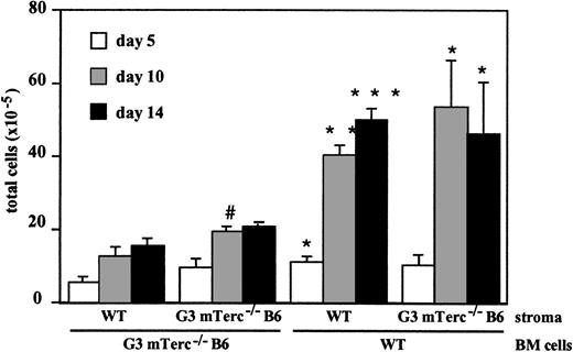 Fig. 2. Kinetics of wildtype and G3 mTerc−/− B6 Lin− BM cell proliferation on irradiated wildtype and G3 mTerc−/− B6 stromal layers. / Wildtype and G3 mTerc−/− B6 LTBMCs were established and maintained as described in Figure 1. After 21 days, cultures were iradiated with a dose of 17 Gy; 3 days after irradiation, cultures were seeded with 7 × 105 wildtype or G3 mTerc−/− B6 Lin− BM cells. CFU-GM content of the seeded cells was 178 and 177 CFU-GMs per 104 cells for wildtype and G3 mTerc−/− B6 Lin− BM cells, respectively. Every 5 days, half of the medium was changed, and total cells and total CFU-GMs in suspension were evaluated. Results are expressed as the mean ± SD of 4 different experiments. *P < .01, **P < 001, ***P < .0001; for mTerc−/− BM cells versus WT BM cells seeded on the same type of stroma.#P < .01; for WT stroma versus mTerc−/− stroma seeded with the same type of BM cells.