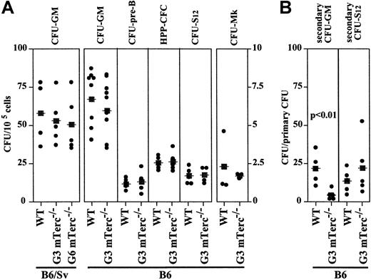 Fig. 3. Analysis of multipotent and committed hematopoietic progenitors in mTerc−/− BM cells from different generations and genetic backgrounds. / (A) BM cells were analyzed for CFU-GM, pre-B CFU, CFU-Mk, HPP-CFC, and CFU-S12 content as described in “Materials and methods.” (B) The replating ability of CFU-S12 and CFU-GMs was analyzed. Individual CFU-S12 spleen colonies generated in irradiated mice were dissected, dispersed, and injected into secondary irradiated recipients and assayed for secondary CFU-S12; CFU-GM colonies were isolated, replated in methylcellulose cultures, and assayed for secondary CFU-GMs. Results are shown independently; the statistical significance of differences between mean values (■) was determined by means of the 2-tailed Student t test.