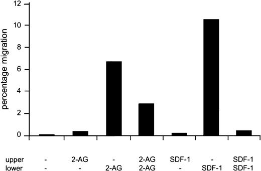 Fig. 4. Chemotaxis versus chemokinesis of Cb2-expressing cells in response to 2-AG or SDF-1 using a transwell assay. / Cb2-transfected 32D/G-CSF-R cells, which naturally express CXCR4, were placed in the upper well with or without 2-AG or SDF-1α. Migration medium with or without ligand was placed in the lower well. Y-axis shows percentage of migration from an input of 1 × 105 cells.