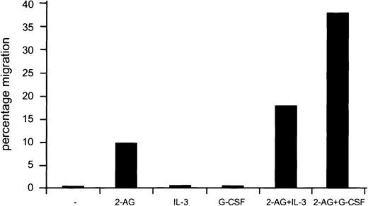 Fig. 6. Synergy between 2-AG and IL-3 or G-CSF in migration stimulation. / Cb2-transfected 32D/G-CSF-R cells were added to the upper chamber in a migration assay. Cells were exposed to migration medium present at the lower well containing 2-AG with or without IL-3 or G-CSF. Y-axis shows percentage of migration from an input of 2 × 105 cells.